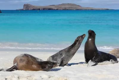 Pérou, Équateur & Galapagos