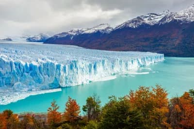 Argentine, Patagonie & Brésil