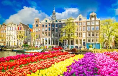 Saison des Tulipes : Découverte de la Hollande et de la Belgique